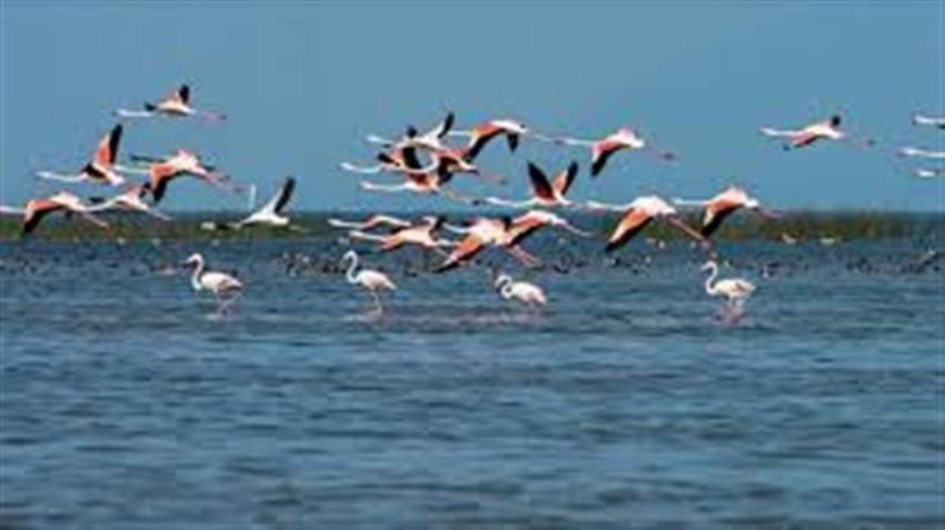  Puri – Chilika Lake – Puri