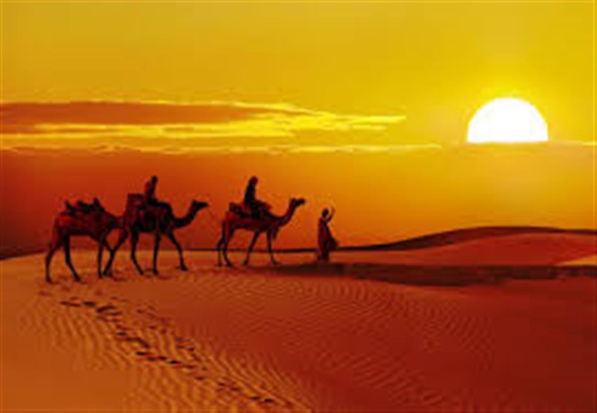 Jaisalmer  Pickup