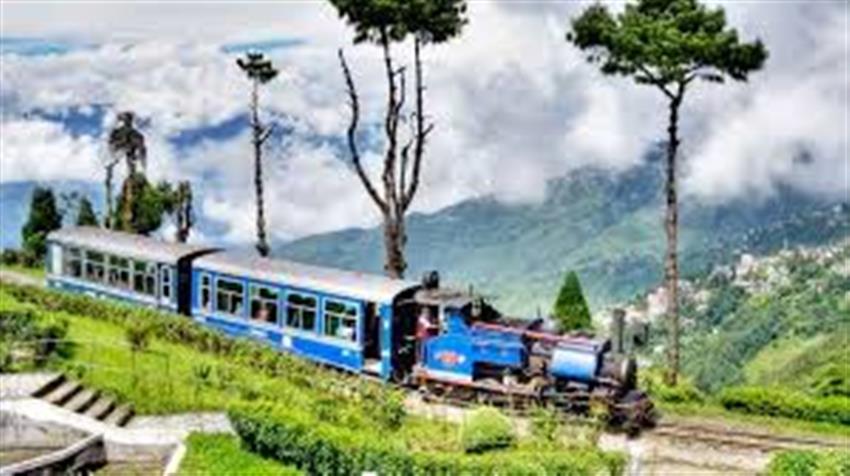 Darjeeling Local Sight Seeing(Half Day) 