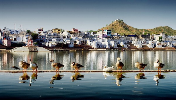 Jaipur To Pushkar