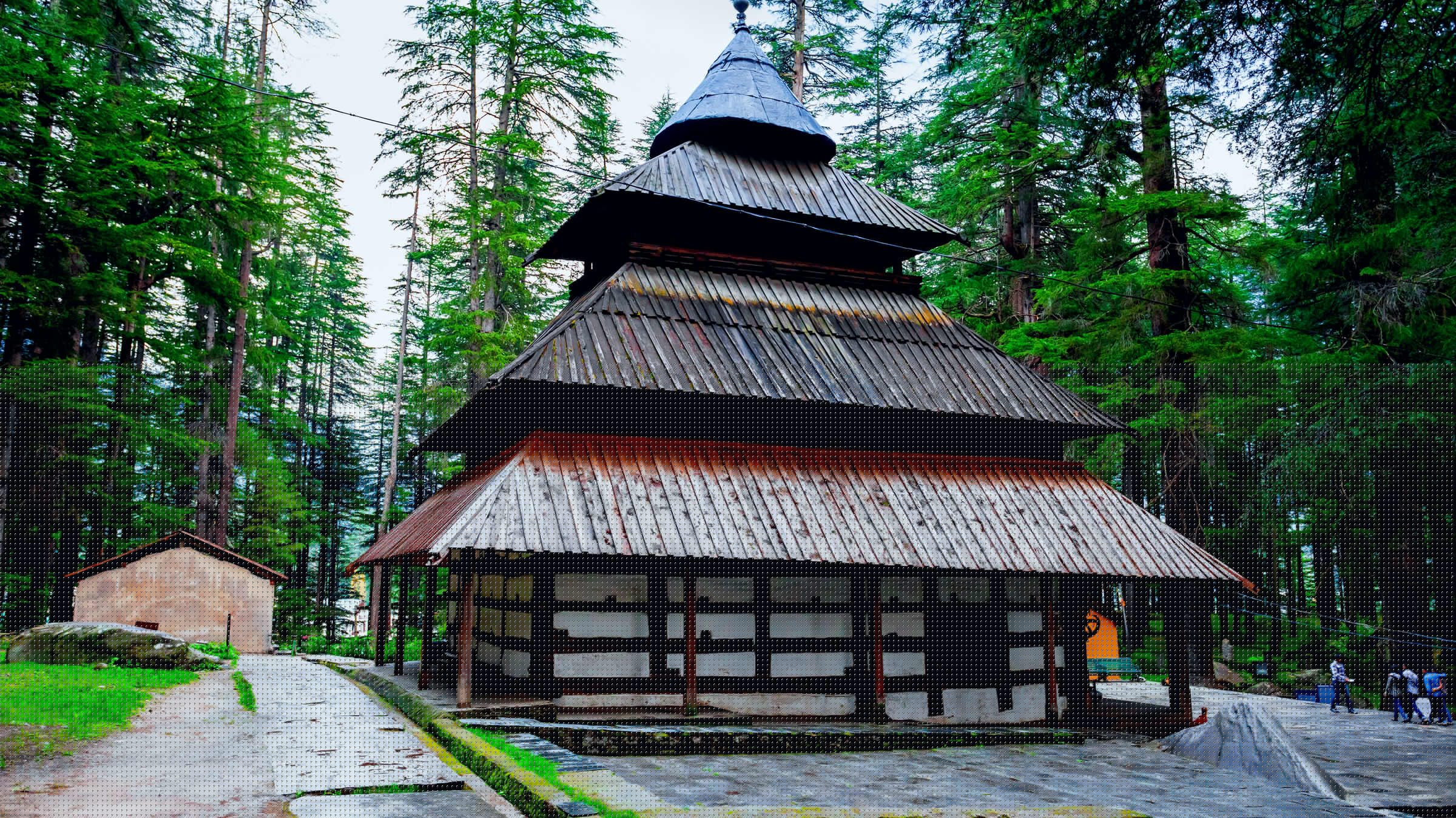 MANALI LOCAL SIGTSEEING FULL DAY(DAY JOURNEY BY CAB)