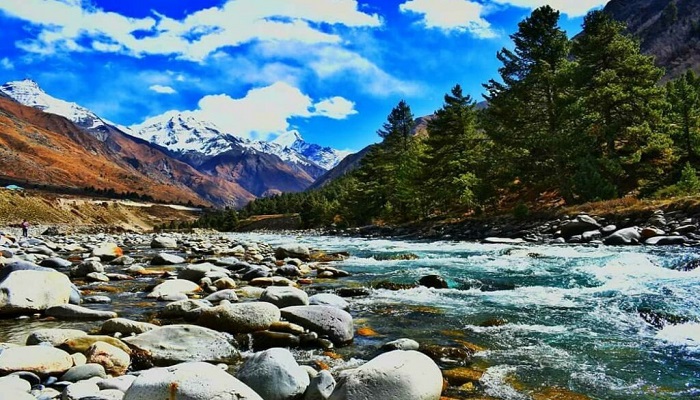 Narkanda to Kalpa