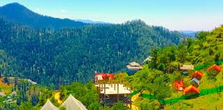 Chandigarh to Narkanda 