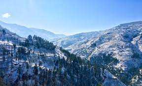 SHIMLA-KUFRI FULL DAY SIGHTSEEING(DAY JOURNEY + LOCAL BY CAB)