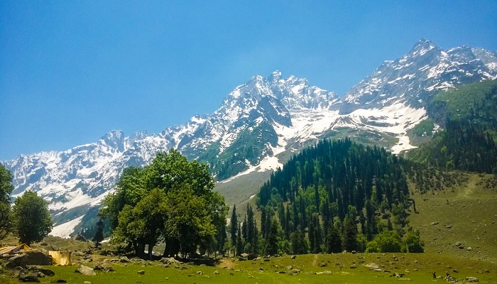 Srinagar - Sonamarg --Srinagar 