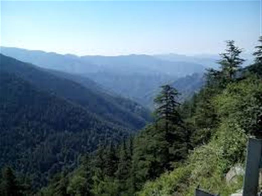 SHIMLA-KUFRI SIGHTSEEING (DAY JOURNEY BY CAB):-